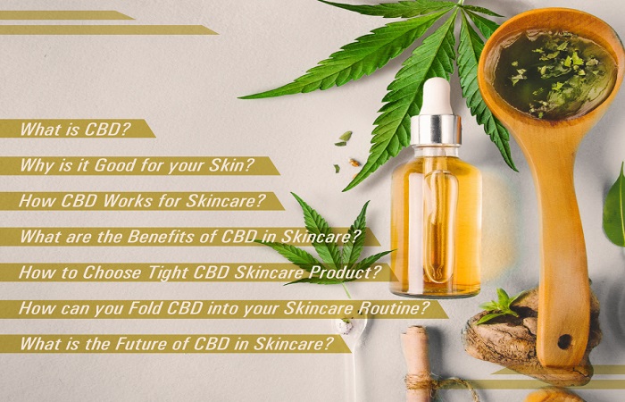 Everything-you-Need-to-Know-About-CBD-for-Skincare_Part2